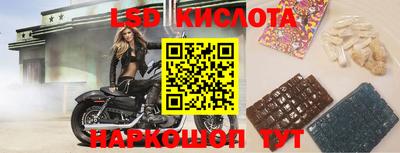 крисы Лесосибирск