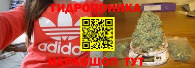 крисы Лесосибирск
