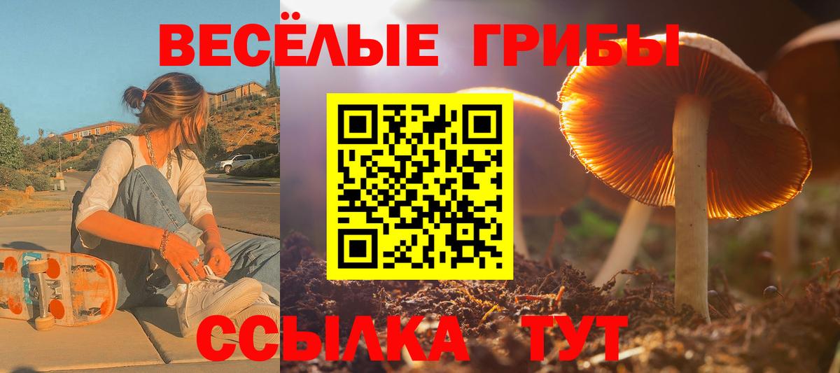 Сердобск  купить  цена  Галлюциногенные грибы Psilocybe  Вход с VPN  Галлюциногенные грибы Psilocybe 